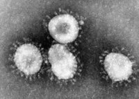 20200213-DonnerstagsvortragCoronavirus.jpg